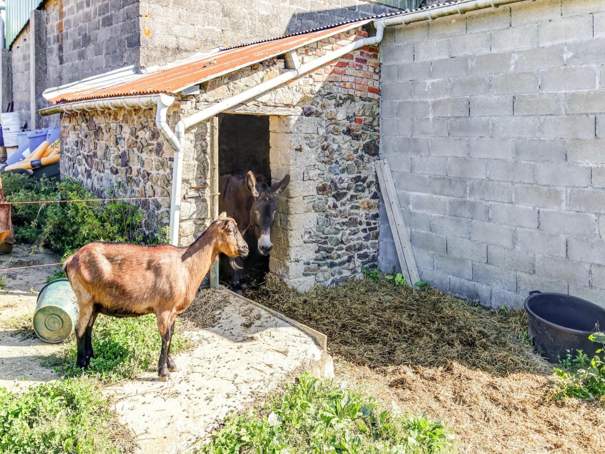 Holiday Home With Garden In Brainville Exterior photo